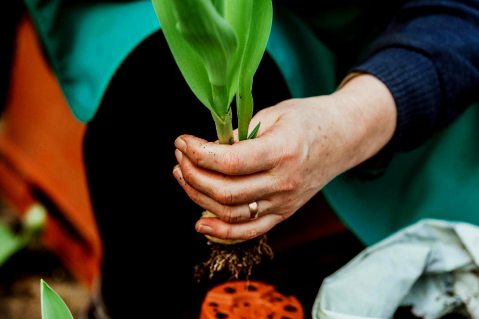 Détail de composition florale élaborée lors d'un atelier pratique