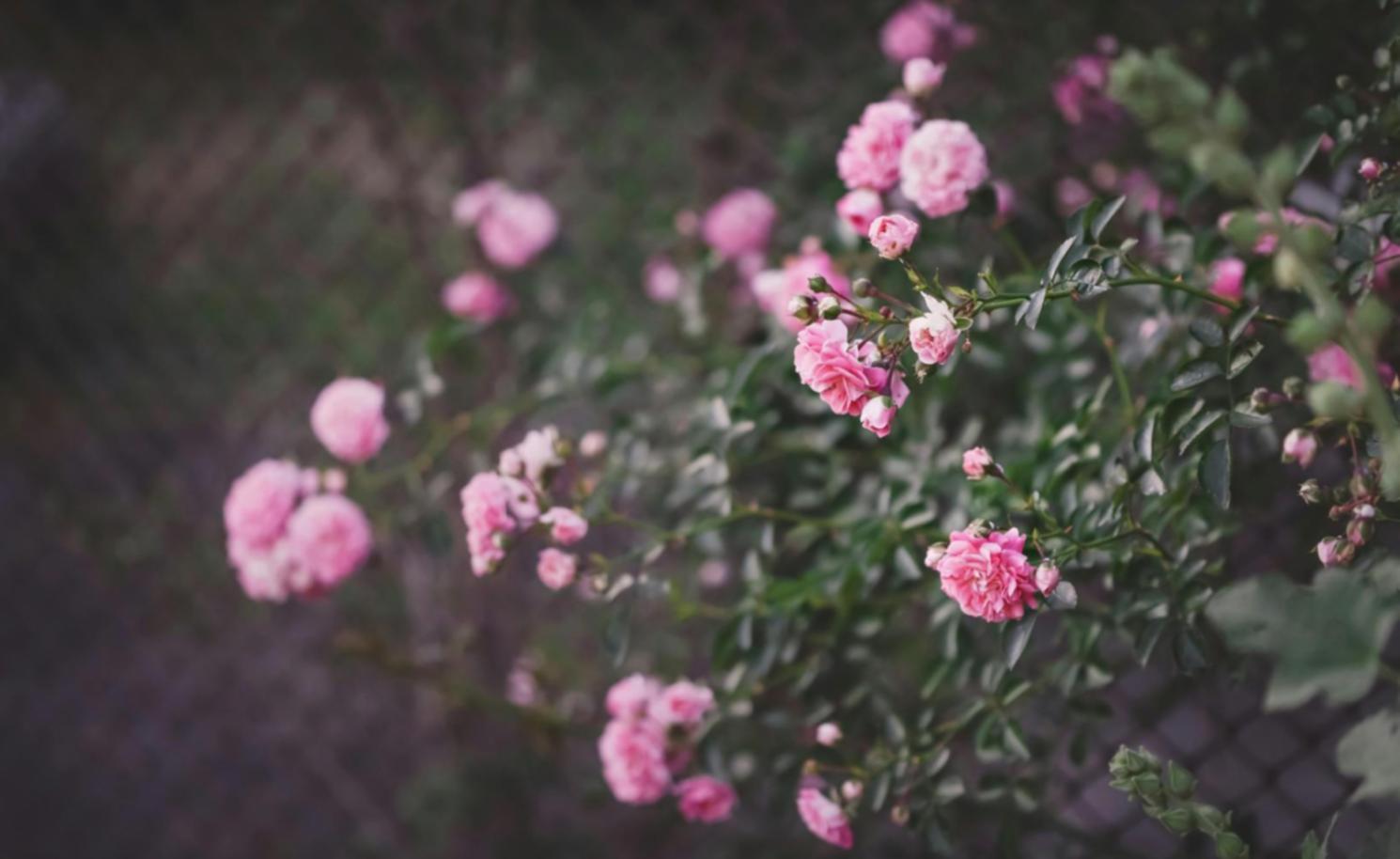 Création florale artisanale avec techniques professionnelles enseignées
