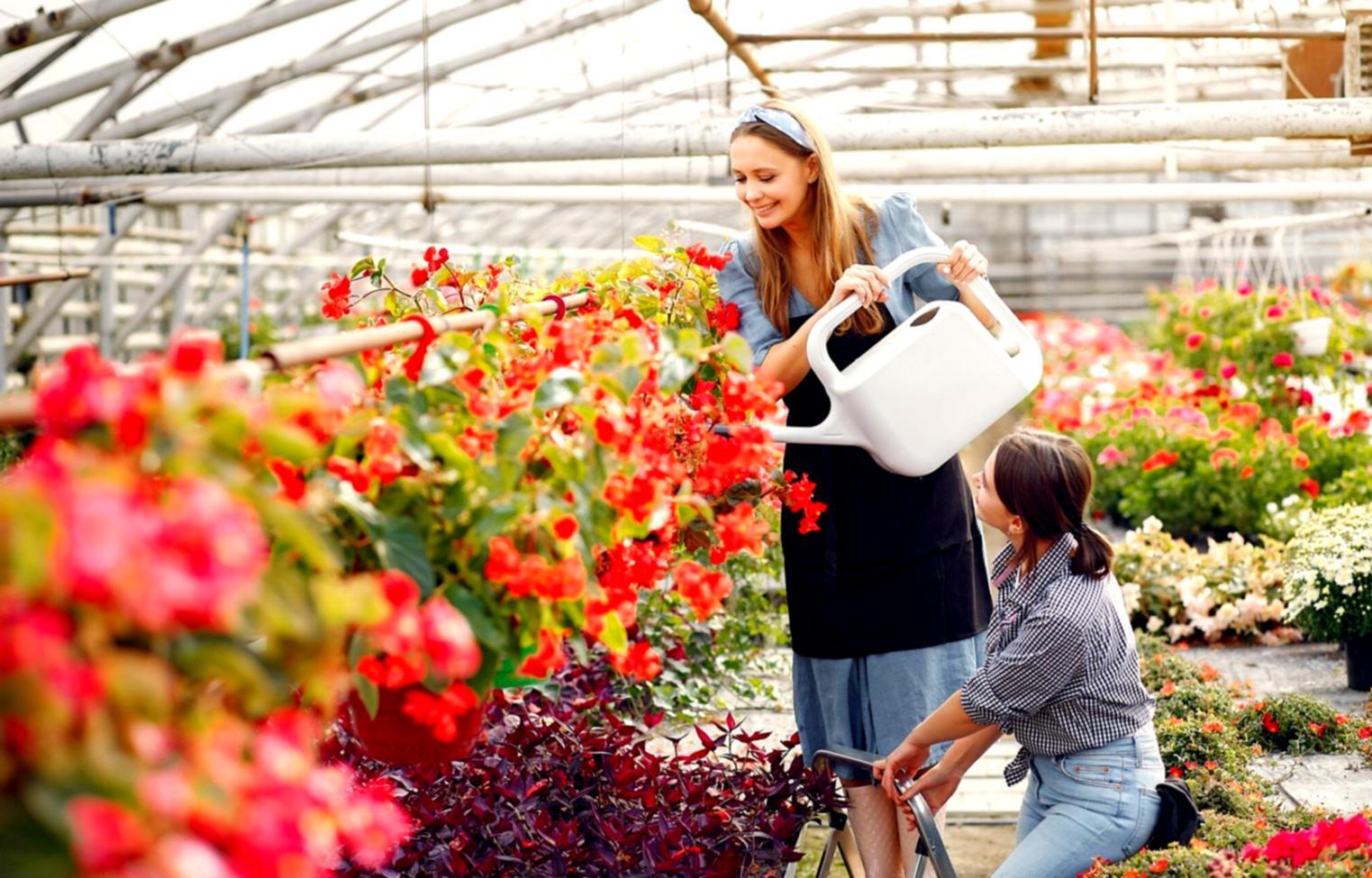Atelier de formation en art floral avec compositions créatives